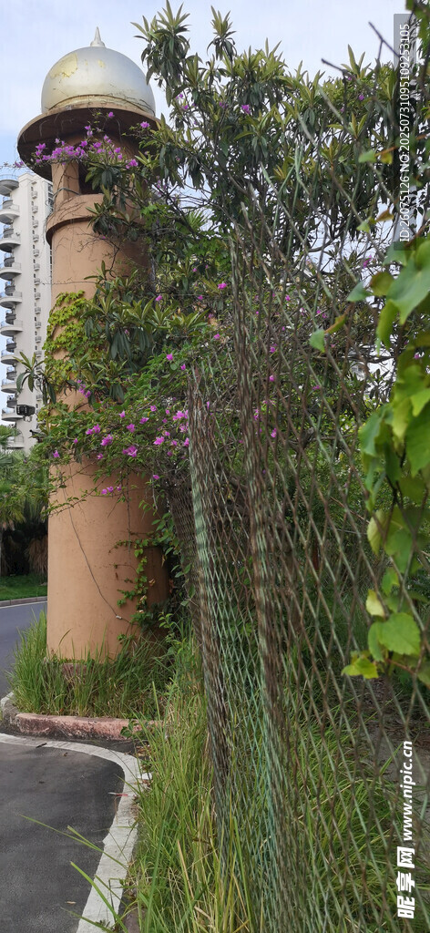 蜿蜒路旁的绿植与筒状建筑