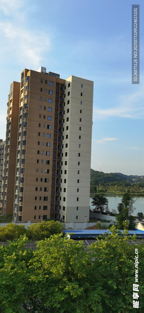 高层住宅旁的绿意景观