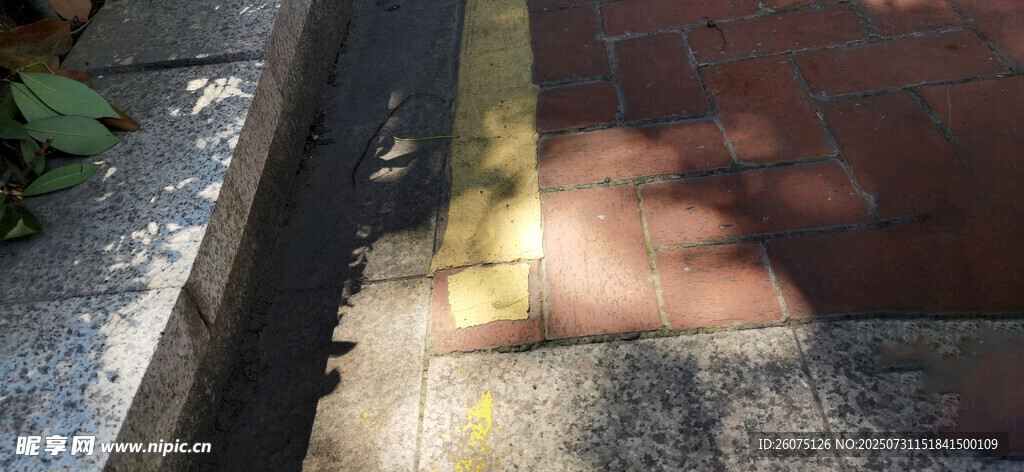 路边光影斑驳的地面