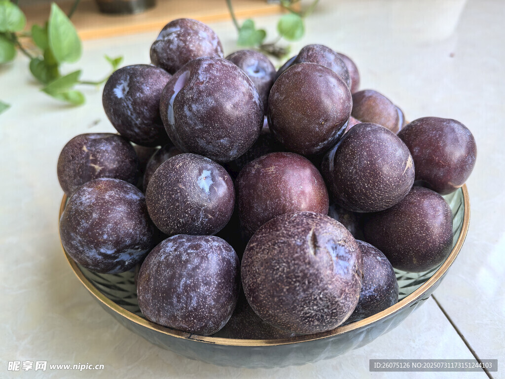 盘中紫李饱满诱人