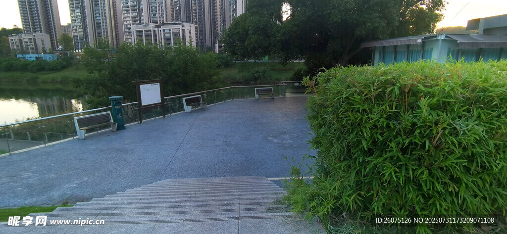 公园中的绿植与步道景观