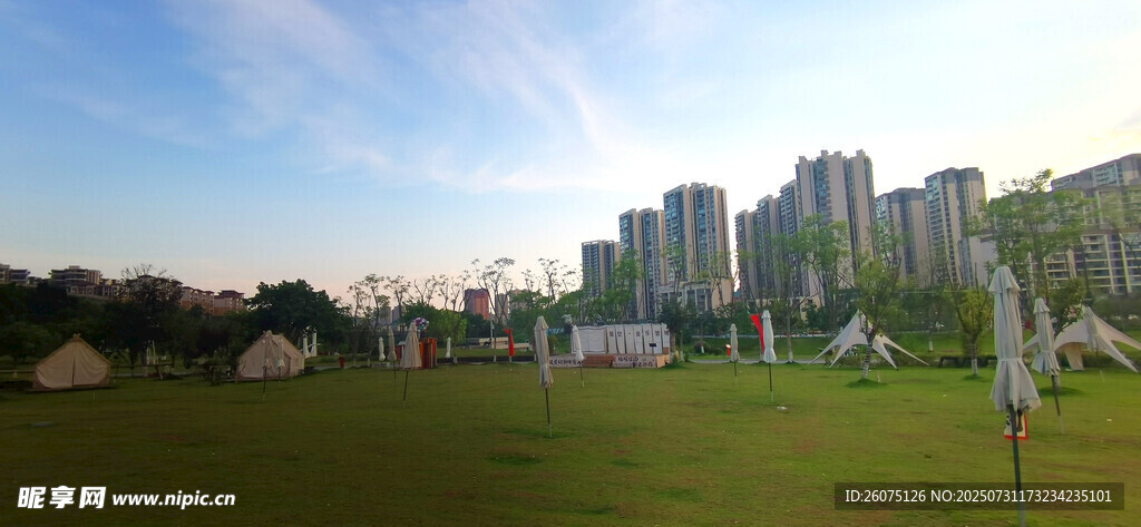 城市绿地旁的高楼景观