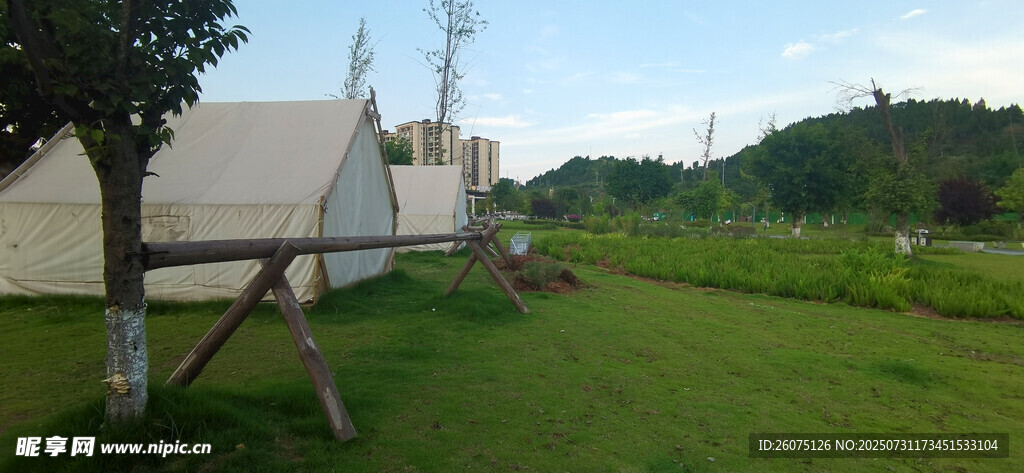 户外的宁静露营场景