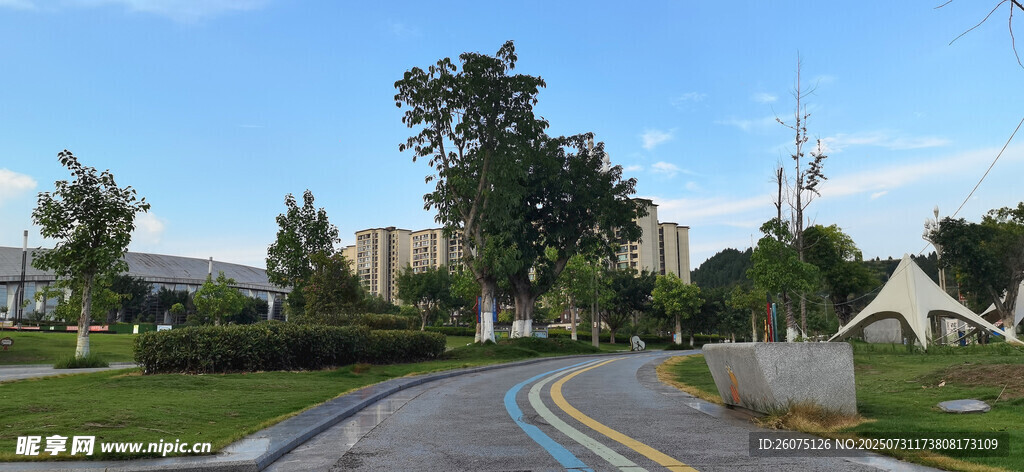 健康步道与两旁风景