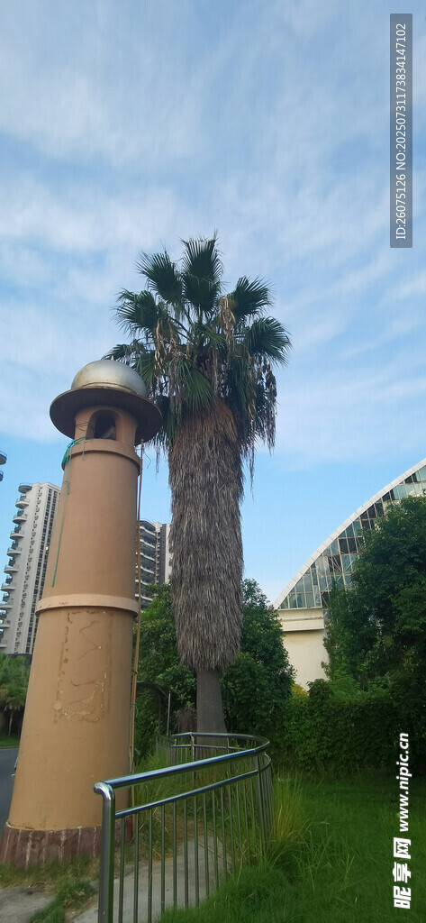 户外棕榈树旁的筒状建筑