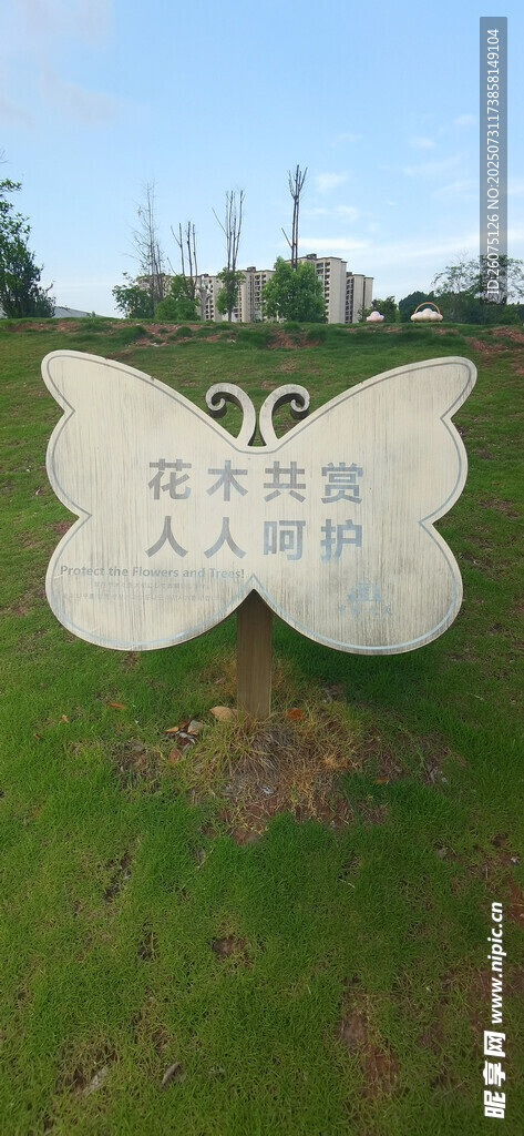 草地上的蝴蝶形花草牌