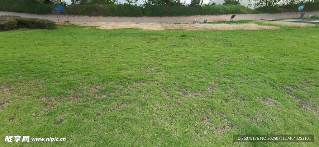 户外开阔绿草地场景