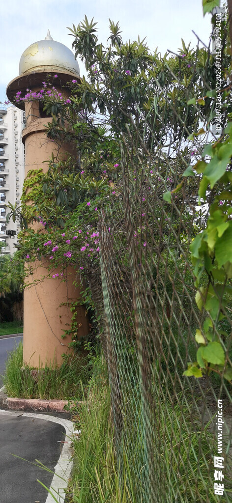 庭院绿植环绕的房屋一角