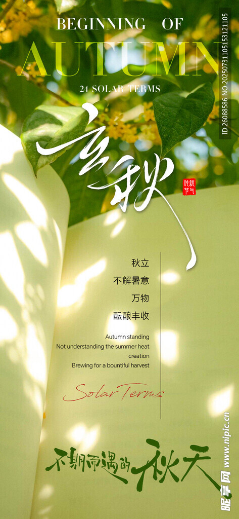 立秋绿植与文字意境节气地产海报