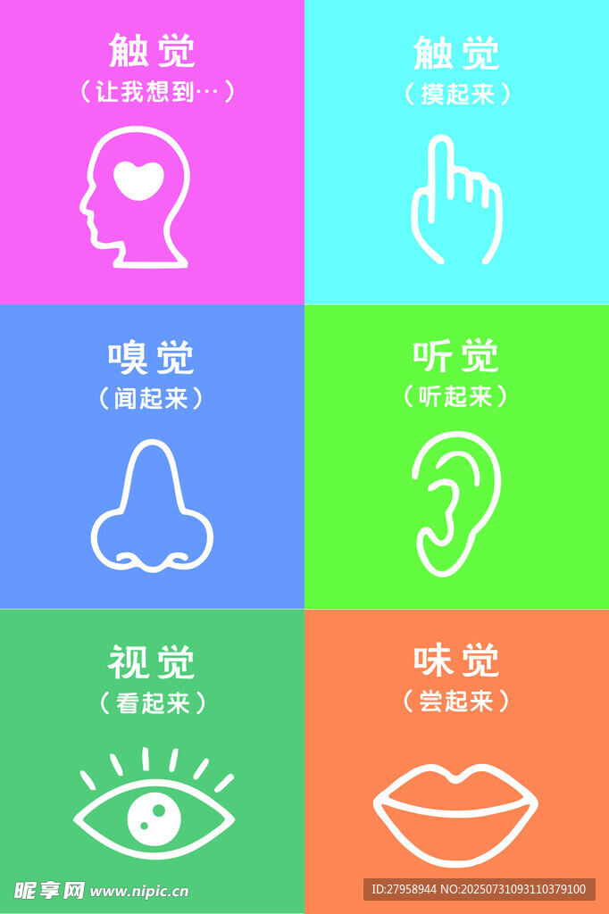 感官探索图标集合