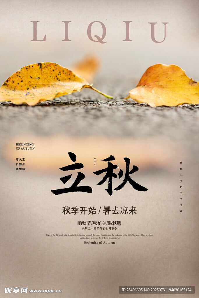 立秋海报