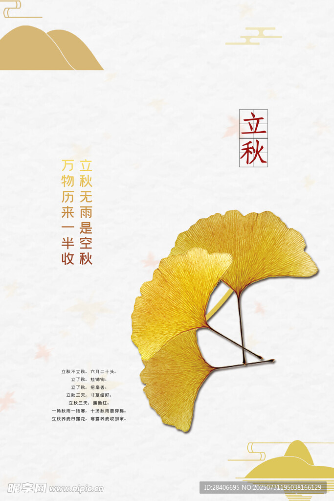 秋日银杏叶立秋