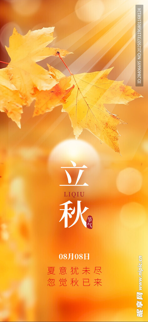 立秋海报