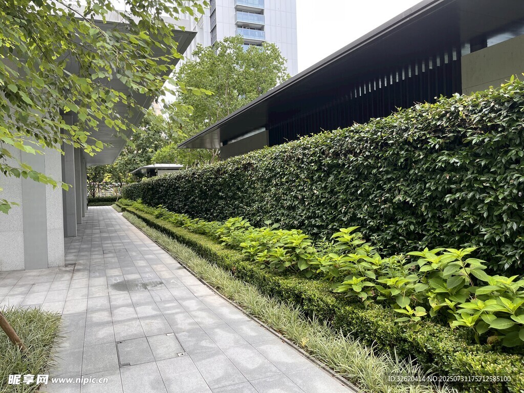 城市中的静谧绿植小道