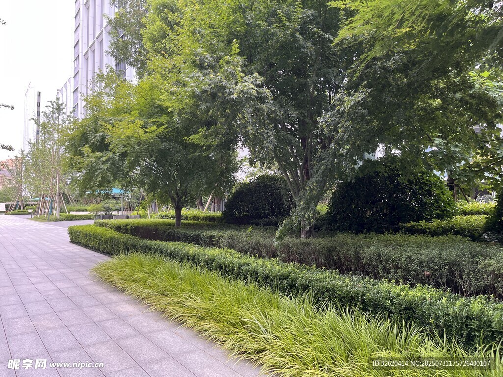 城市林荫小道景观