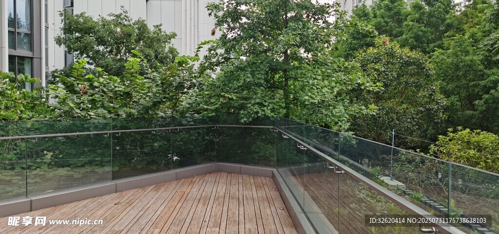 蜿蜒于绿树间的步道