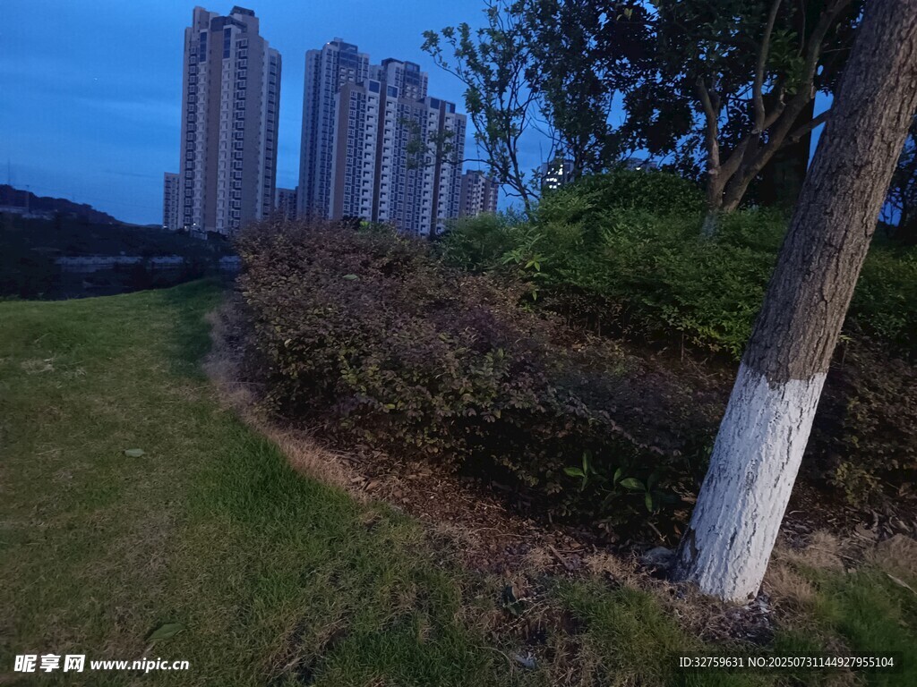 城市绿地旁的高楼景观