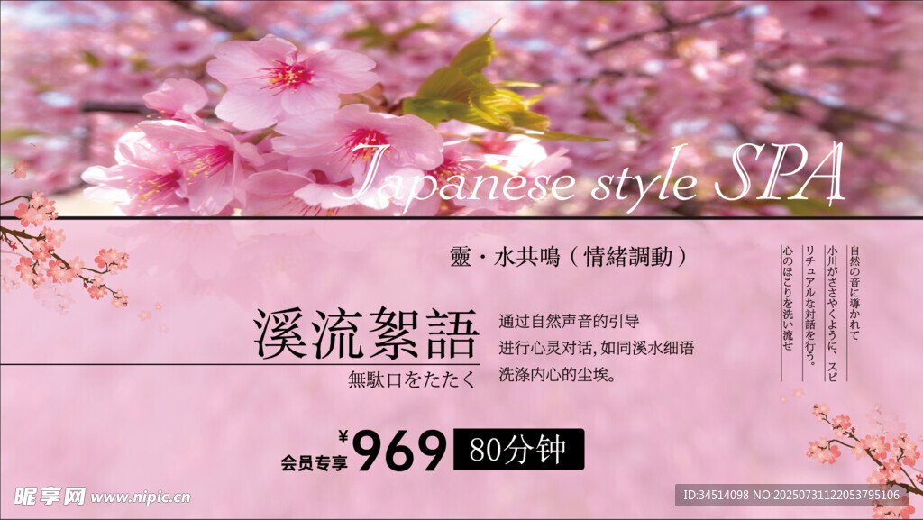 浪漫樱花季繁花绽放