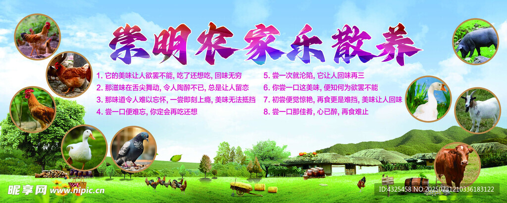 崇明农家乐旅游宣传图