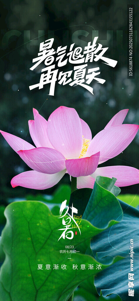 处暑 