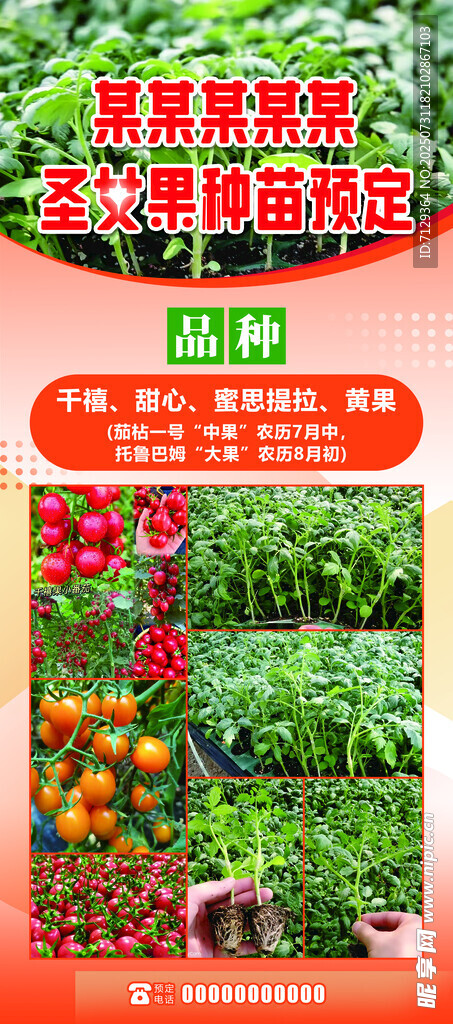 蔬菜幼苗种植培育指南