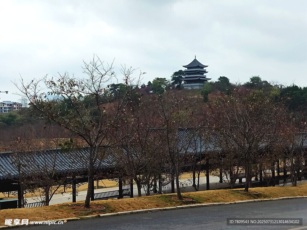 植物公园