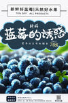 蓝莓