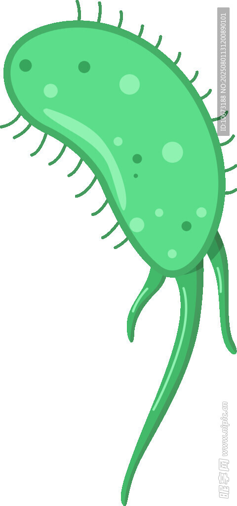 绿色细菌插画