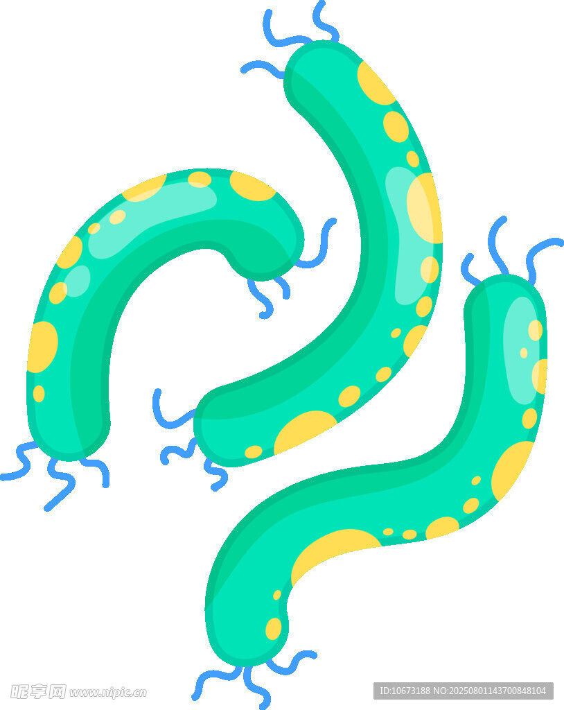绿色蠕虫插画