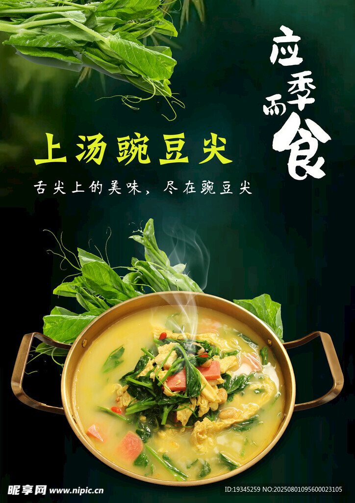 豌豆尖
