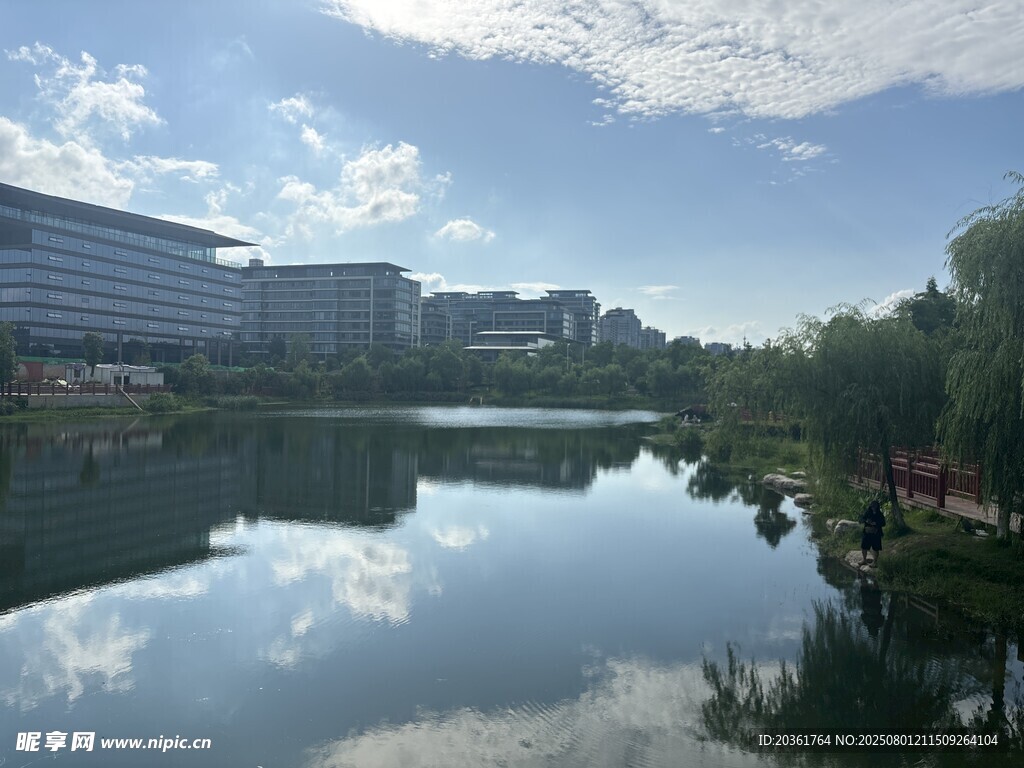 湖畔城市风光