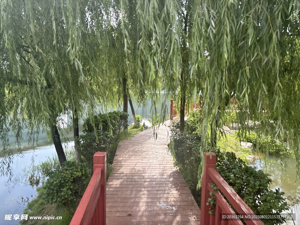 湖畔柳下红桥漫步景致