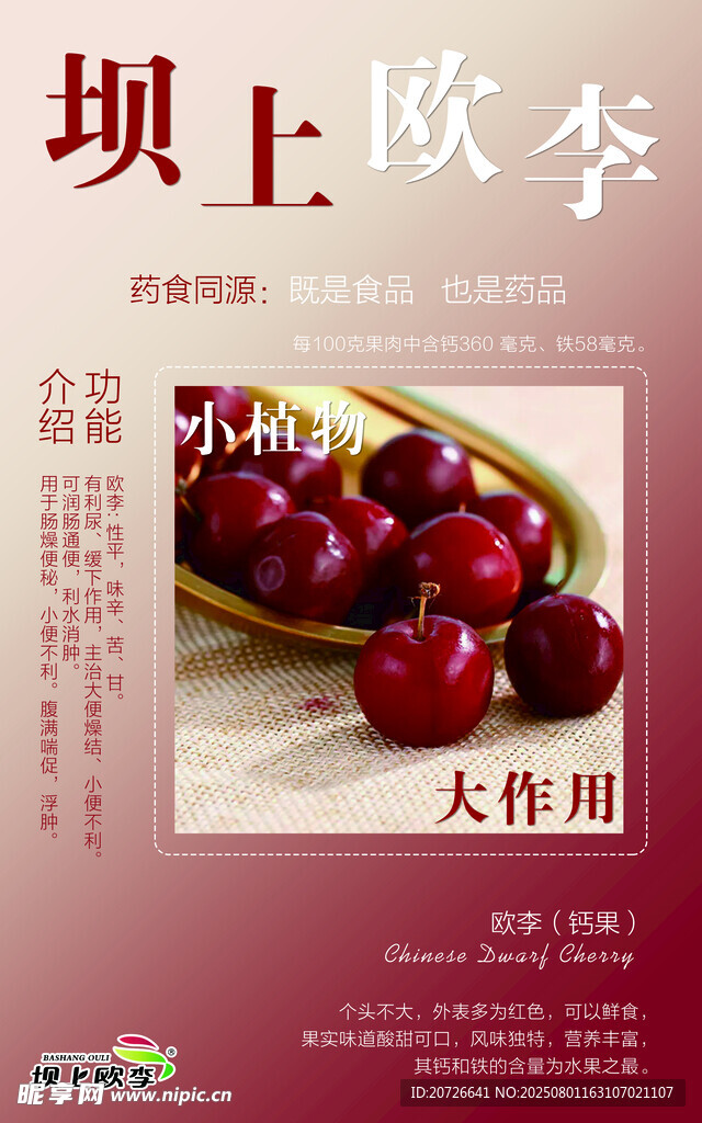 坝上秋李樱桃大作战