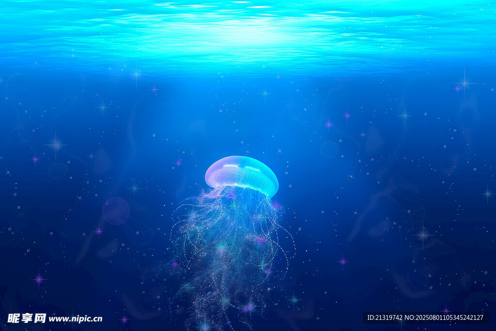 深海中的梦幻水母