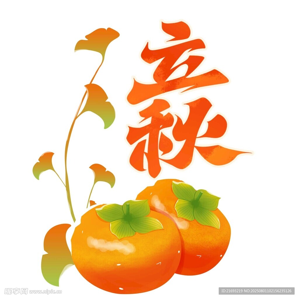 立秋时节的柿子插画