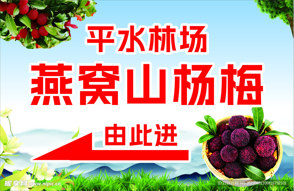 杨梅海报