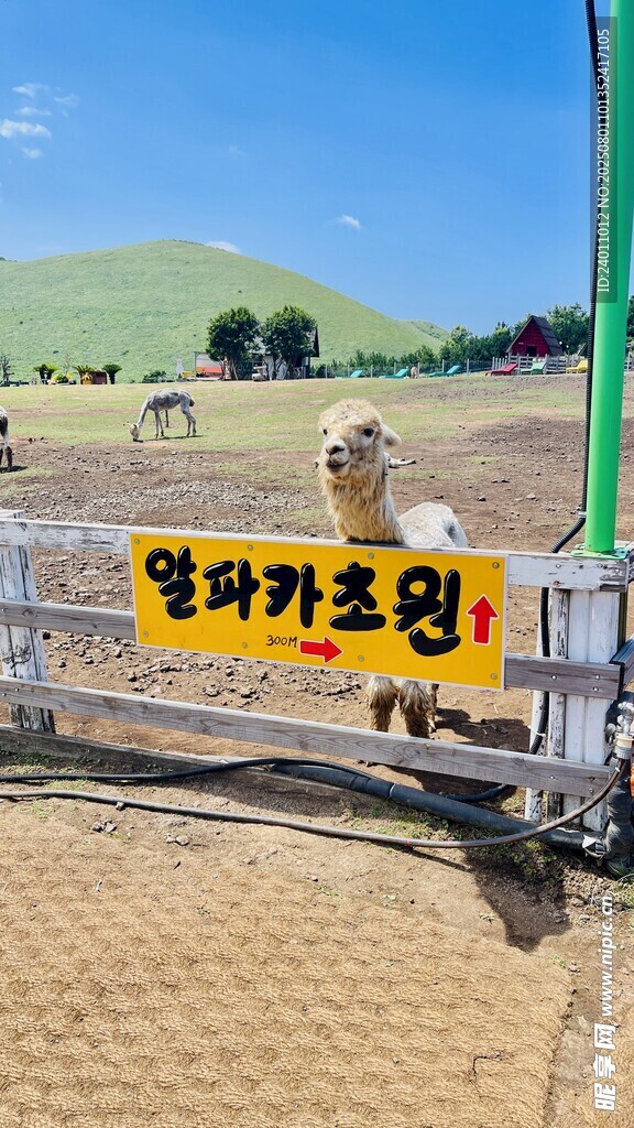 户外野生动物园游览场景