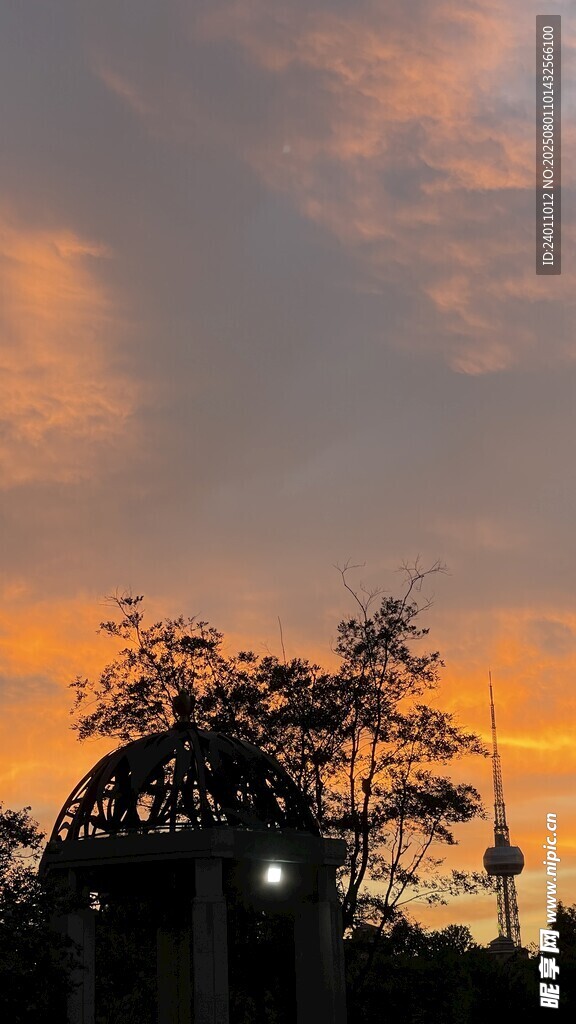 夕阳下的树影与朦胧建筑