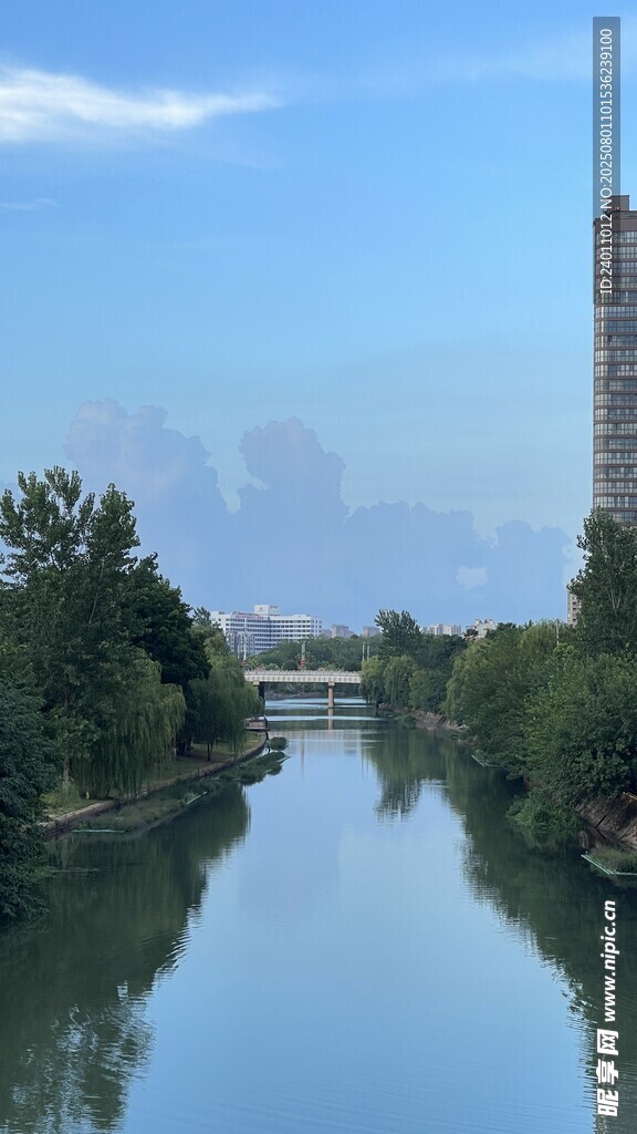 河畔高楼与葱郁绿树美景