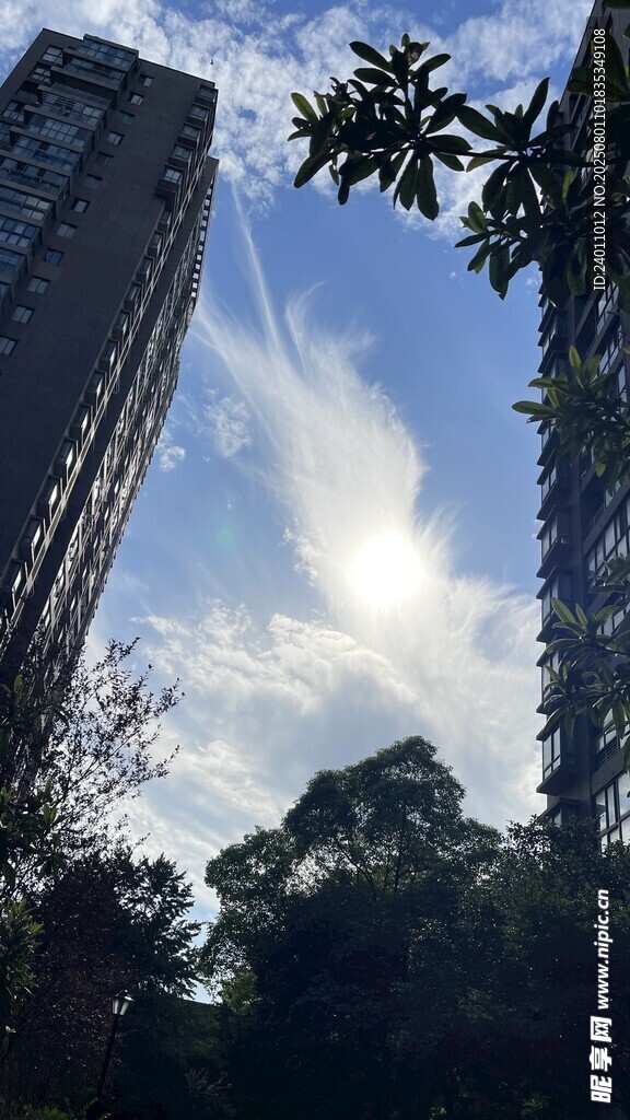 城市高楼与蓝天绿树景观