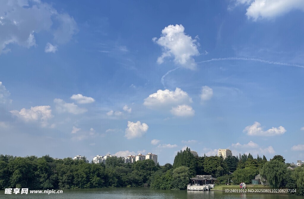 蓝天白云下的河畔树林