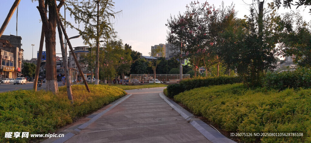 城市林荫步道景观