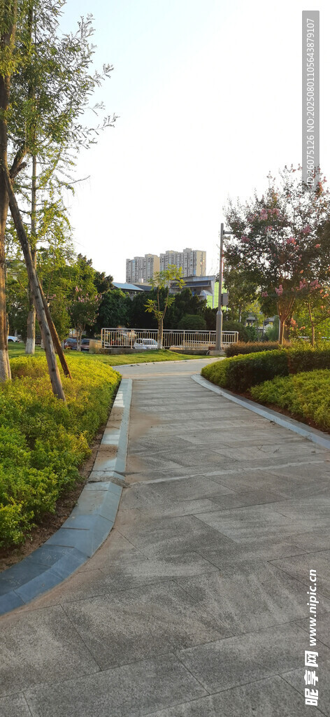 城市中的宁静林荫步道