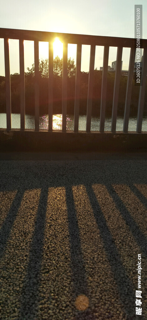 夕阳下的地面光影美景
