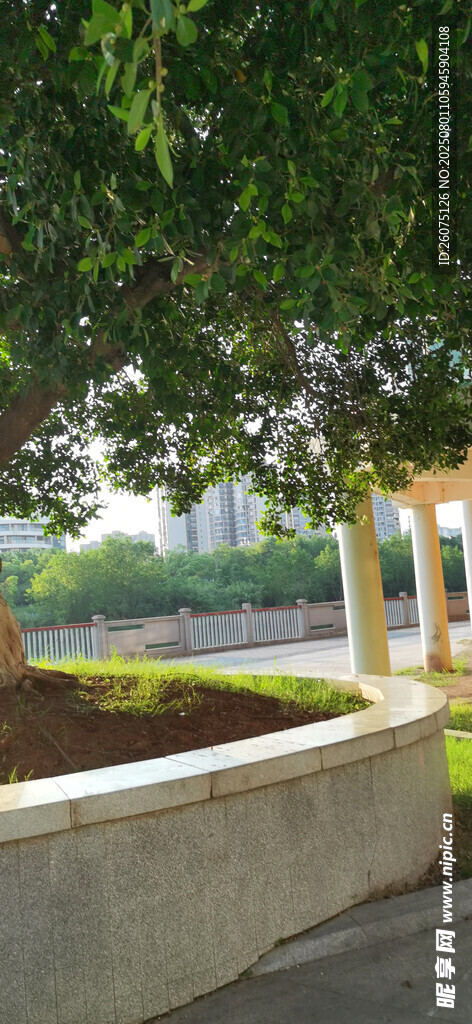 绿荫下的户外休闲场景