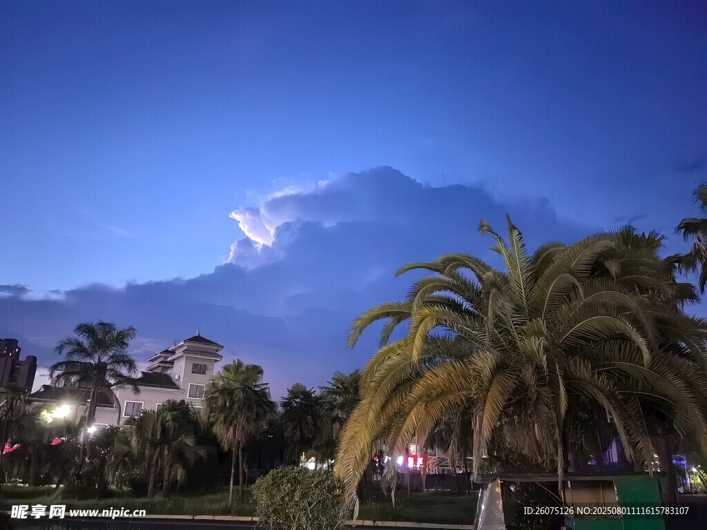 夜幕下的棕榈树与远山