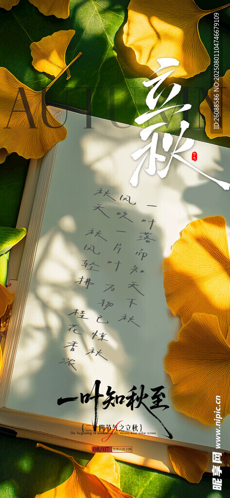 立秋绿植与文字意境节气地产海报