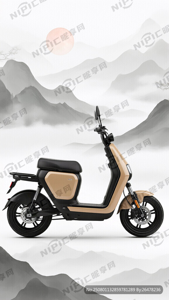 几个不同的淡淡的极核两轮电动车