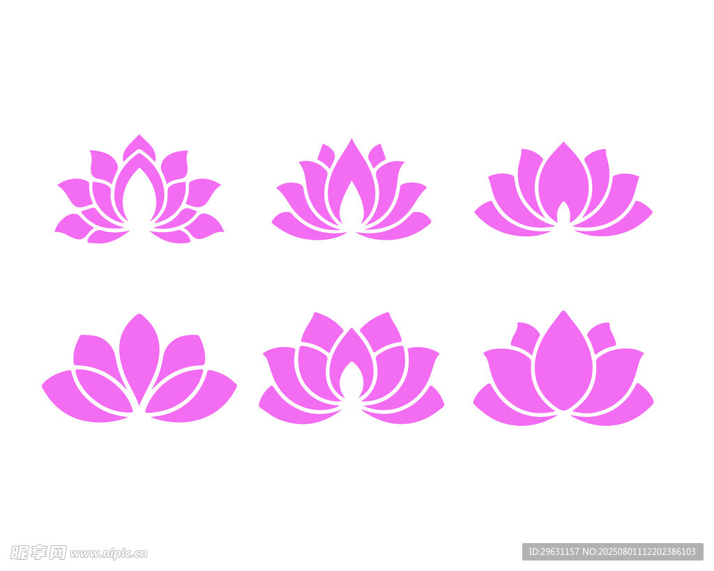 莲花图案