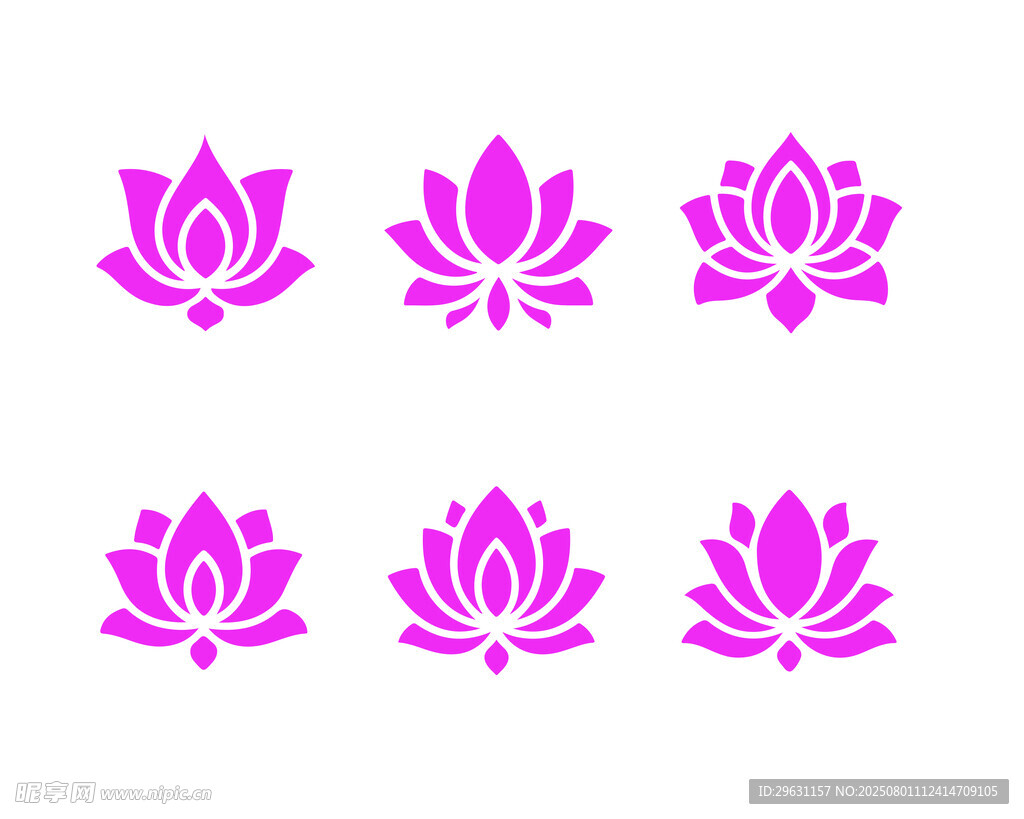 莲花图案